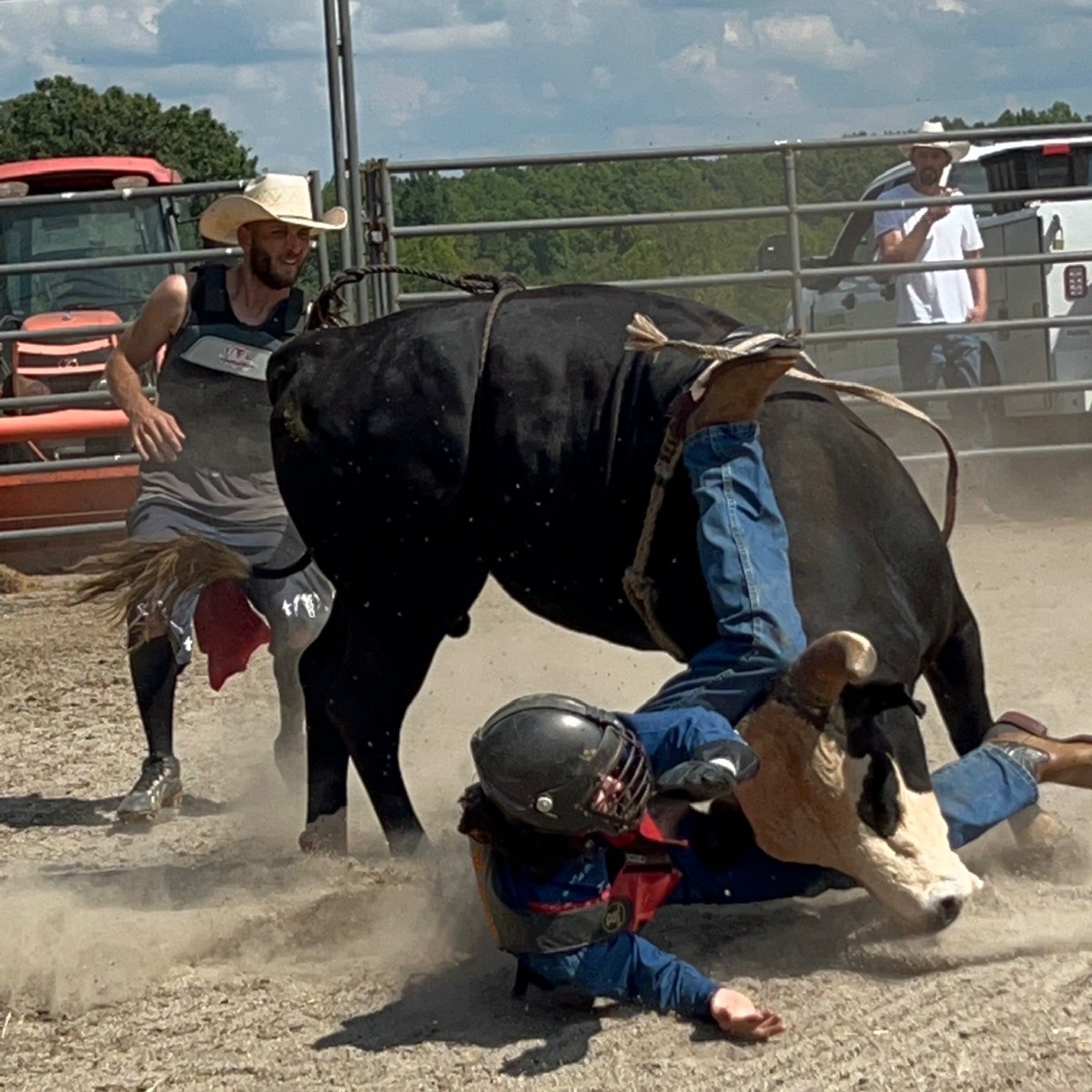 More Thoughts on Bull&nbsp;Riding